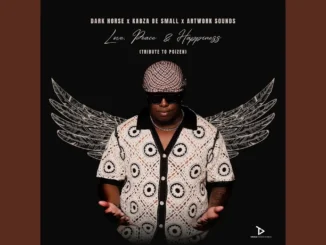 MrLuu de Stylist  Dark Horse, Kabza De Small & Artwork Sounds  Love, Peace & Happiness (Official Audio) Mp3 Download