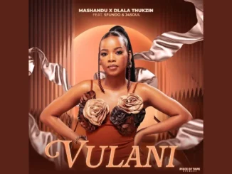 MrLuu de Stylist  MaShandu & Dlala Thukzin  Vulani (Official Audio) feat. Sfundo & J4soul Mp3 Download