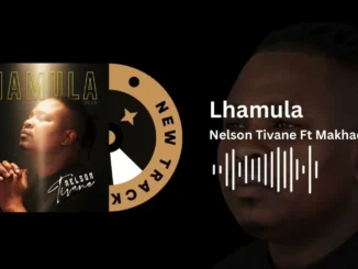 Nelson Tivane Ft Makhadzi Enterntainment  Lhamula Mp3 Download