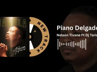 Nelson Tivane  Nelson Tivane Ft Dj Tarico   PianoDelgado Mp3 Download