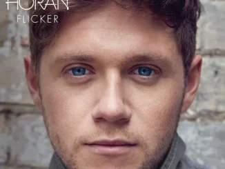 Niall Horan  Too Much To Ask Mp3 Download