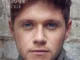 Niall Horan  Too Much To Ask Mp3 Download