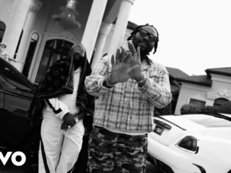 Peezy, Rick Ross  Hide The Rest (Official Video) Mp3 Download