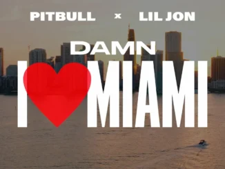 Pitbull  Damn I Love Miami (LOUDER DJ MIX) Ft. Lil Jon Mp3 Download