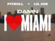 Pitbull  Damn I Love Miami (LOUDER DJ MIX) Ft. Lil Jon Mp3 Download