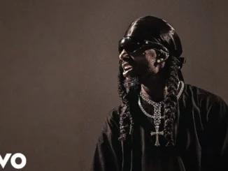 Playboi Carti  POPSTAR Mp3 Download