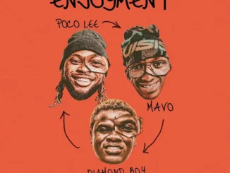 Poco Lee  ENJOYMENT ft. Mavo & Diamond Boy Mp3 Download