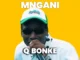 Q Bonke & Mlooda ft Smoov  Mngani Mp3 Download