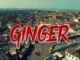 Rexxie  GINGER ft. Adamsgodman & Camidoh Mp3 Download