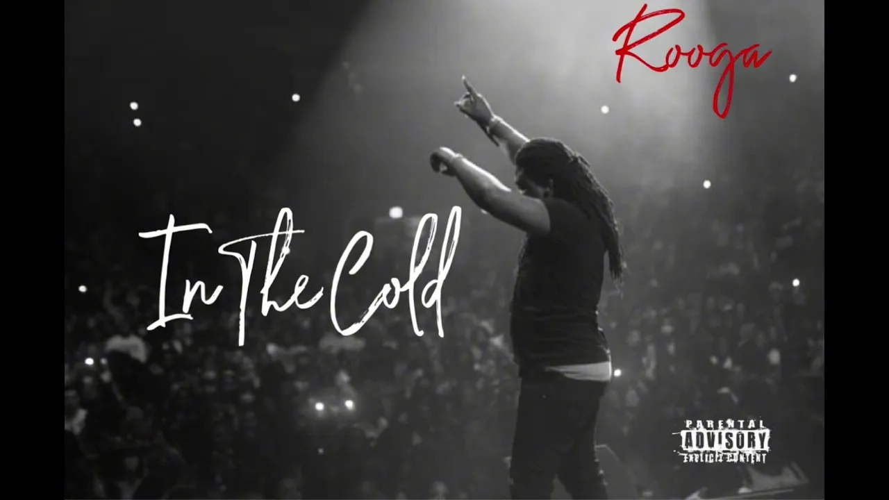 Rooga  In The Cold (Official Audio) Mp3 Download