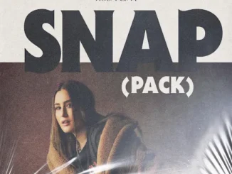 Rosa Linn  SNAP (Fargo Remix) ft. Fargo Mp3 Download