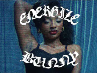 Roy Woods  Roy Woods  Energize Bunny Mp3 Download