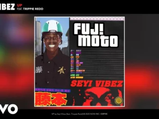 Seyi Vibez  UP (Official Audio) ft. Trippie Redd Mp3 Download