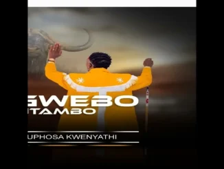 Sgwebo Sentambo  Ukuphosa Kwenyathi feat. Ama NND Mp3 Download