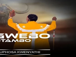 Sgwebo Sentambo  Ukuphosa Kwenyathi ft. Ama NND Mp3 Download