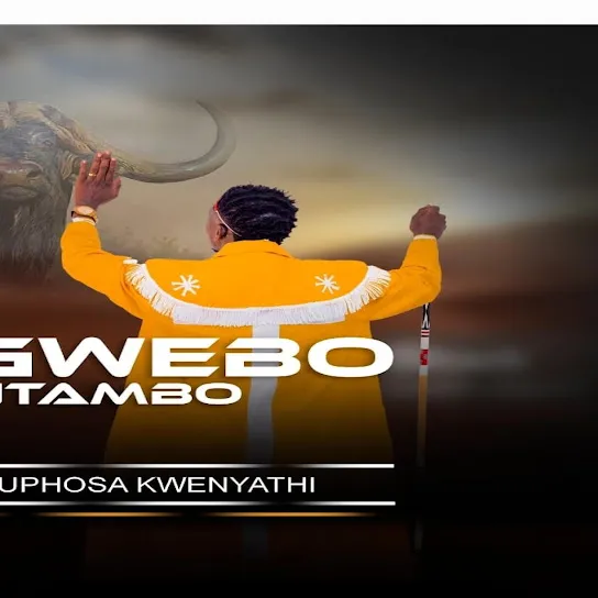 Sgwebo Sentambo  Ukuphosa Kwenyathi ft. Ama NND Mp3 Download