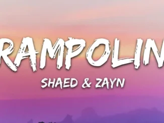SHAED x ZAYN  Trampoline (Lyrics) Mp3 Download