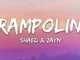 SHAED x ZAYN  Trampoline (Lyrics) Mp3 Download