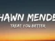 Shawn Mendes  Treat You Better (Lyrics) Mp3 Download