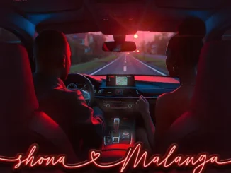 Shona Malanga Ft. Kelvin Momo, Babalwa M, And Royce77, Sia Mzizi, Ranger & Major League Djz Mp3 Download