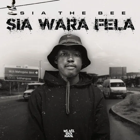 Sia_TheBee  Hlaba o be wete ft. Dimphowadiwave, BigBaller_CEO & Mr Kay Mp3 Download