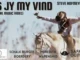 Steve Hofmeyr  As jy my vind Mp3 Download