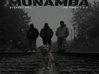 Suspectdry  Munamba Ft. Vee Mash T.k.O & Killer Kid SA Mp3 Download