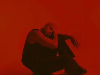 TEEKS  Red Light Mp3 Download