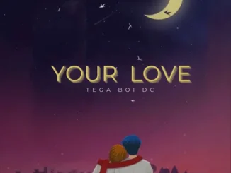 Tega Boi Dc  Your Love (Speed Up) Mp3 Download