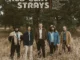 The Red Clay Strays  I'm Still Fine Mp3 Download