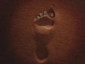 Tycoon  Bazosha ft. Cowboii & MDU aka TRP Mp3 Download