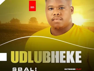 UDLUBHEKE  Senzeni Mp3 Download
