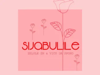 Vico Da Sporo  Sijabulile ft. Zelule zn Mp3 Download