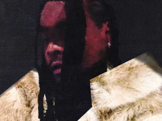 Wale  Belly Mp3 Download