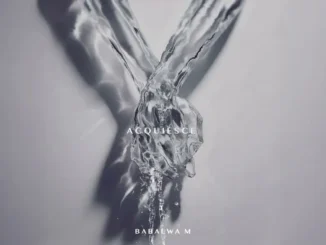 Xduppy  Ntwana Yam ft. Babalwa M, DJ Maphorisa, , Nvcho & Madumane Mp3 Download