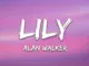 Alan Walker, K391 & Emelie Hollow  Lily (Lyrics) Mp3 Download