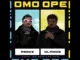 Asake  Omo Ope ft. Olamide Mp3 Download