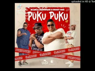 Dladla Mshunqisi  Puku puku Mp3 Download