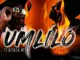 Emjey  Umlilo (Remix) ft. Mtekza MT Mp3 Download