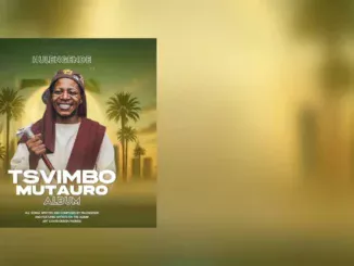 Hulengende  Ndine Nyota (Tsvimbo Mutauro Album) Mp3 Download
