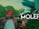 Molepo  Shona Khona Mp3 Download