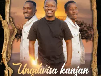 Nature Boyz  Ungilwisa Kanjani (Remix) Mp3 Download