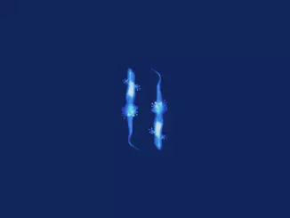 Thắng  Khóc Đấy Mp3 Download