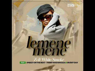 Zoli White Smoke  LEMENEMENE  Zoli White Smoke Feat SmeezyOn The Beat , Tribby Wadi Bhoza & Buddy Sax Mp3 Download