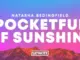 Natasha Bedingfield  Pocketful of Sunshine Mp3 Download