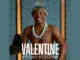 Remixed Maskandi  Ngithandwa Engathi Usuku Nosuku iValentine  Studio Sessions (Shenge Wasehlalankosi) Mp3 Download