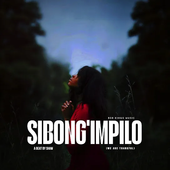 Shaw  Sibong'impilo Mp3 Download