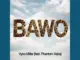 Vyno Miller  BAWO ft. Phantom Xaba Mp3 Download