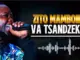 Zito Mambone  Zito Mambone  Va Tsandzekile  mp3 Mp3 Download