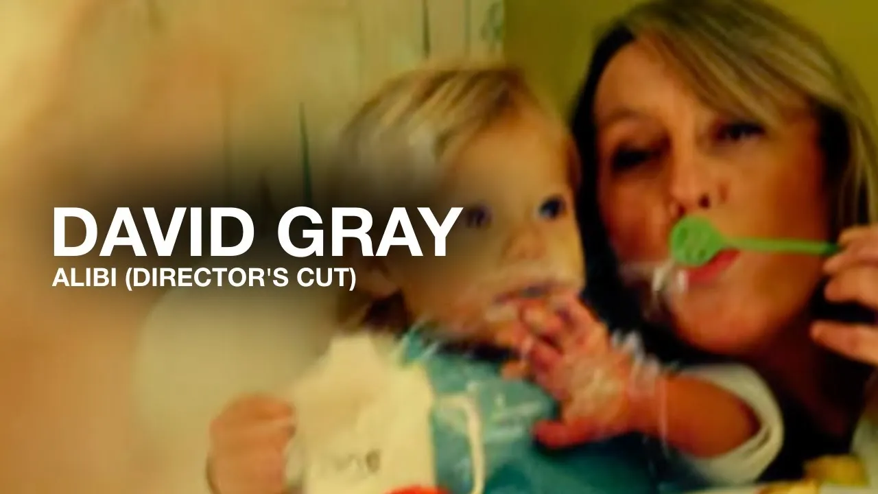 David Gray  Alibi Mp3 Download